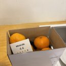 믿음푸드 | 브릭스랩이라서 더 믿음 갔던 올바른로컬푸드 맛있는귤 후기