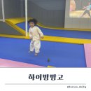 하이방방고
