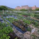 인천농장 이미지