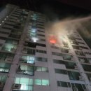 강남동-9 이미지