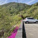 월성계곡 화장실 이미지