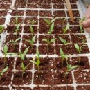 제내농장 이미지