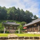 천은사 - 1455 | 천은사
