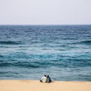 겨울바다 이미지