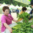 에누리존 이미지