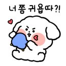 제주민트