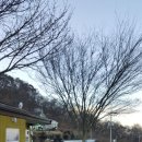 산당화가 피는집 이미지