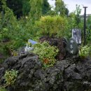 바우네 민박 이미지