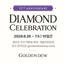 골든듀 창립행사! 2년째 매일 착용 중인 펄시피아 쁘띠 반지, 목걸이 솔직후기