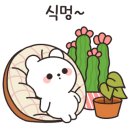 사계절꽃서랍 네이버블로그