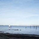 Blackie Spit Park 이미지