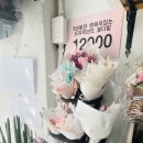 민니플라워