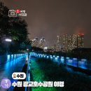 탄금호 순환자전거길12 | 수원 광교호수공원 야경 주차 자전거 돗자리