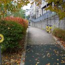 아래쇠죽골천 이미지