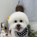 위드뚜뚜 이미지