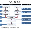 -새롭게 바뀐 규정- 이미지