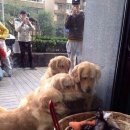 저기요