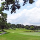 동남카프라자 | 대만골프 가오슝에서 즐기는 온화한 겨울라운딩(항공포함)