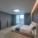 외도펠리스 이미지
