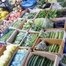 대성야채 이미지