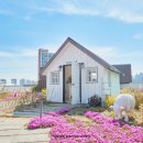 현대어린이책미술관 MOKA GARDEN 이미지