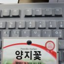 대웅샤링 Daum카페