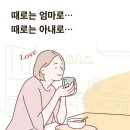 라라코리아 이미지