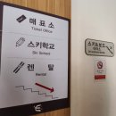 보샬레 이미지