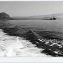 탐라도다 이미지