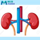소변에 거품이 자주 보인다면? 신장 안좋으면 증상 5가지와 병원 선택, 콩팥 음식 관리