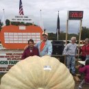 호박민박 이미지