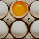 다이어트365GYM 이미지