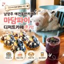마담파이 - 하남시 미사강변중앙로 193 | 남양주 애견동반카페 마담파이 별내 디저트카페 후기