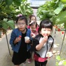 가흥초교 병설유치원 이미지