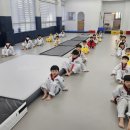 다온 용인대국가대표태권도 이미지