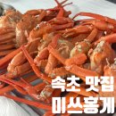 미쓰홍게 | 속초 맛집, 또간집 무한리필 미쓰홍게