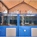 감포참가자미 이미지