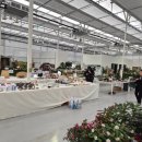 장미산업 | [순천만가든마켓] 순천수공예산업협회 꽃빛상점 입점 후기!