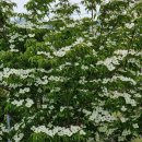 제주 자락 이미지