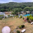 사랑해줄개 이미지