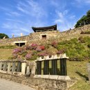 공주 공산성 야경 야간 입장료 물품보관함 산책코스 무료입장