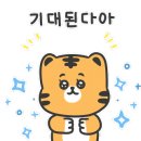 성보수리 이미지