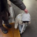 더킹몰 | 인생은 펭귄처럼 (Feat. 반려동료)