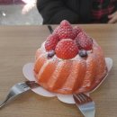 강이네펫샵 이미지