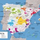 포도나무교회 인근 | 스페인, 토로 와인(Spain Toro Wines)