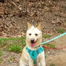 리버하우스 이미지