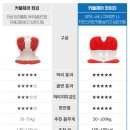 와이던플러스 이미지