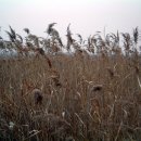 노래를찾는사람들 이미지