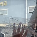 제주인짬뽕 | 횡성 여행 ) 횡성썸머나잇은 핑계고 ~