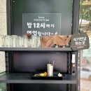 테라스461 | [신당 데이트] 보메청담 황학점 ✦ 애견동반 가능한 분위기 좋은 레스토랑 후기｜무료주차·콜키지·메뉴